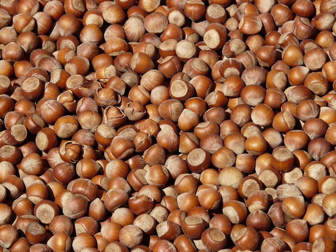 entdecken sie gesunde snacks, die sowohl köstlich als auch nahrhaft sind. perfekt für einen schnellen energiekick oder als gesunde zwischenmahlzeit. genießen sie eine vielzahl von schmackhaften optionen, die ihren heißhunger stillen und ihren körper mit wichtigen nährstoffen versorgen.