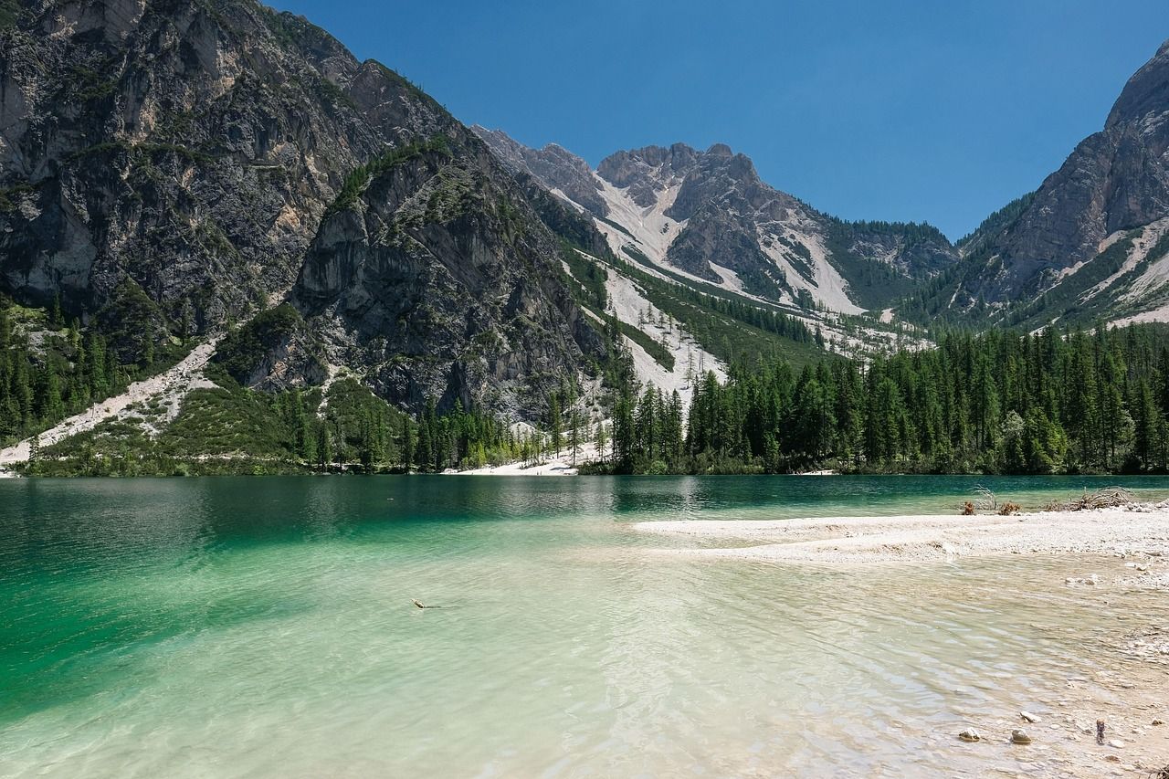 erleben sie mit 'dream' eine inspirierende reise durch träume, kreativität und fantasie. lassen sie sich von neuen ideen und innovativen möglichkeiten begeistern. perfekt für alle, die sich nach inspiration und motivation sehnen.