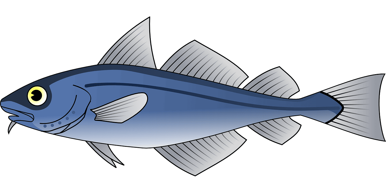 entdecken sie die vielfältige welt der fische! informationen über arten, lebensräume und tipps zur fischerei erwarten sie. perfekt für angler, aquarienliebhaber und naturfreunde!