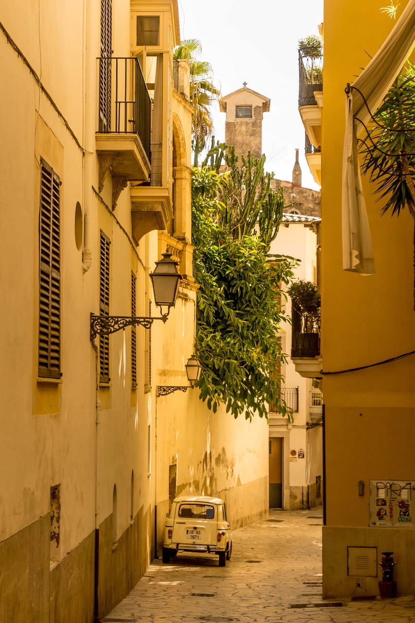entdecken sie die besten reise-tipps für mallorca 2025 – von den schönsten stränden bis zu insider-empfehlungen für unvergessliche erlebnisse auf der insel.