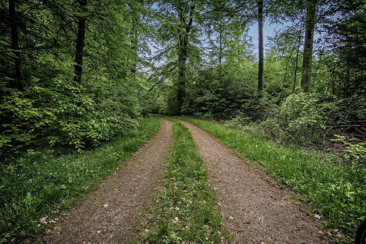 entdecken sie die schönheit der natur mit unseren geführten bike- und wandertouren – ideale abenteuer für alle outdoor-enthusiasten.