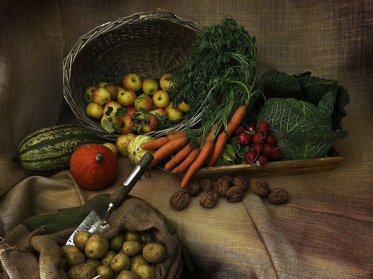 entdecken sie die grundlagen der ernährung, erfahren sie, wie sie eine ausgewogene diät planen und gesunde essgewohnheiten entwickeln können, um ihr wohlbefinden zu steigern.