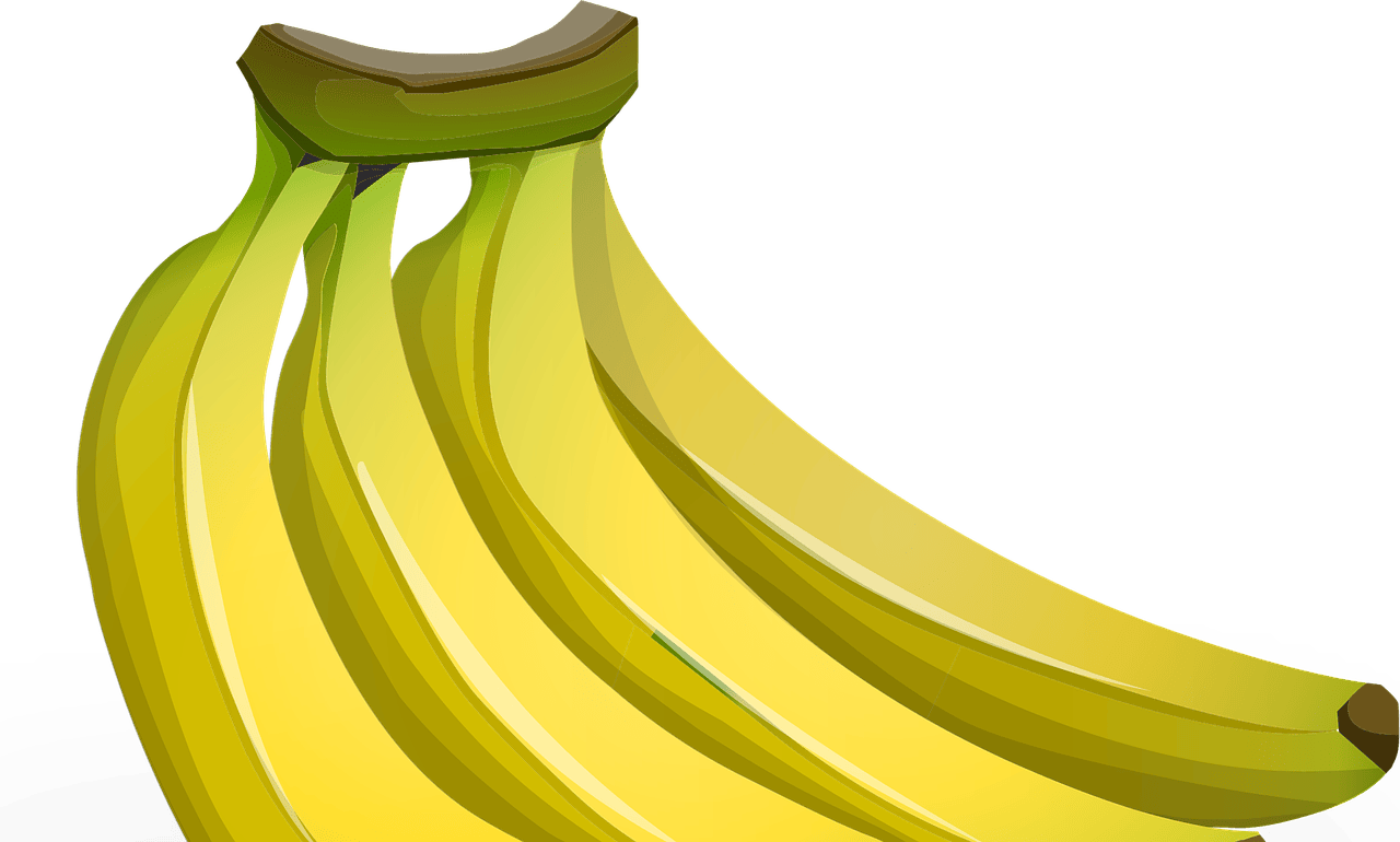 entdecken sie die welt der ernährung: tipps, rezepte und wissenschaftliche erkenntnisse für eine ausgewogene ernährung und ein gesundes leben.