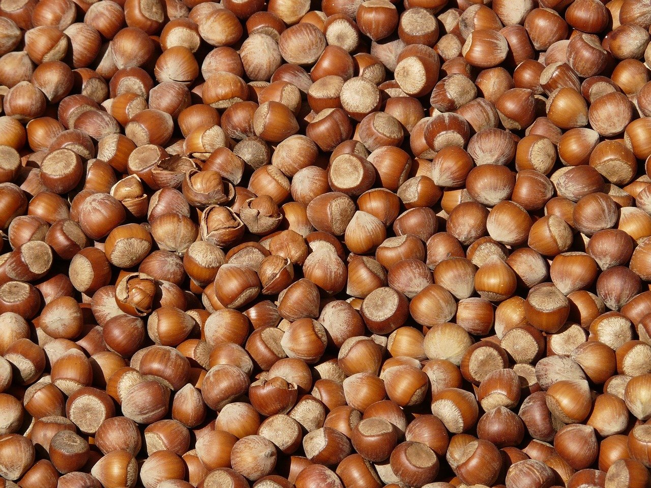 entdecken sie gesunde snacks, die nicht nur lecker sind, sondern auch voller nährstoffe stecken. perfekt für einen energiereichen tag oder als gesunde alternative zu fettigen snacks.