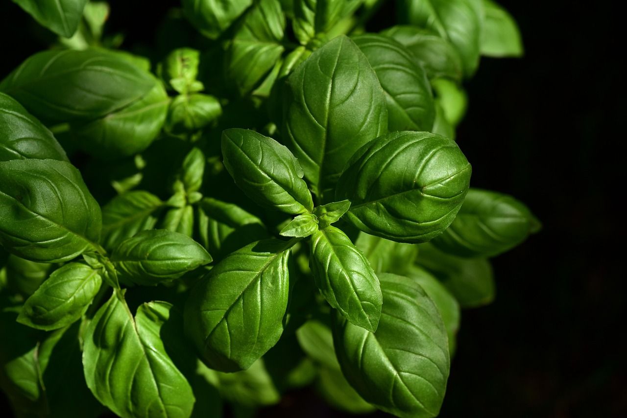 entdecken sie kulinarische highlights, rezepte und trends aus aller welt. inspiration für feinschmecker, foodies und genießer – alles rund um kochen, essen und genuss.