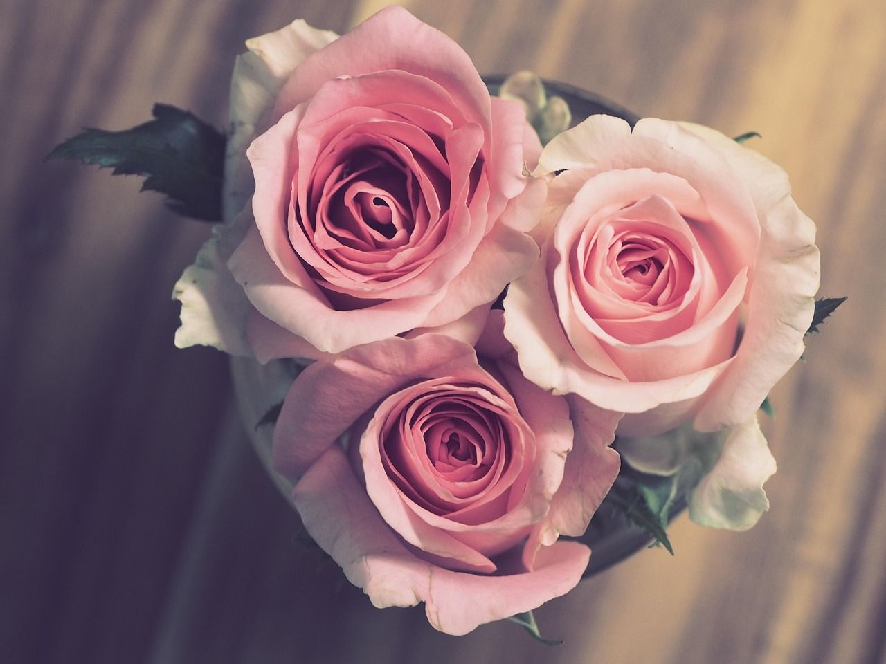 feiern sie ihr jubiläum mit unvergesslichen momenten und besonderen geschenken, die ihre liebe und verbundenheit ausdrücken.