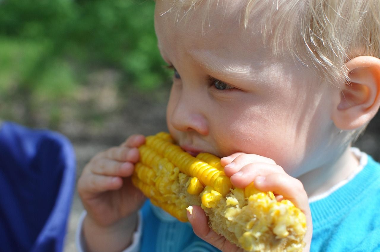 umfassende informationen und tipps zur förderung der gesundheit von kindern – von ernährung über bewegung bis zu vorsorgeuntersuchungen.
