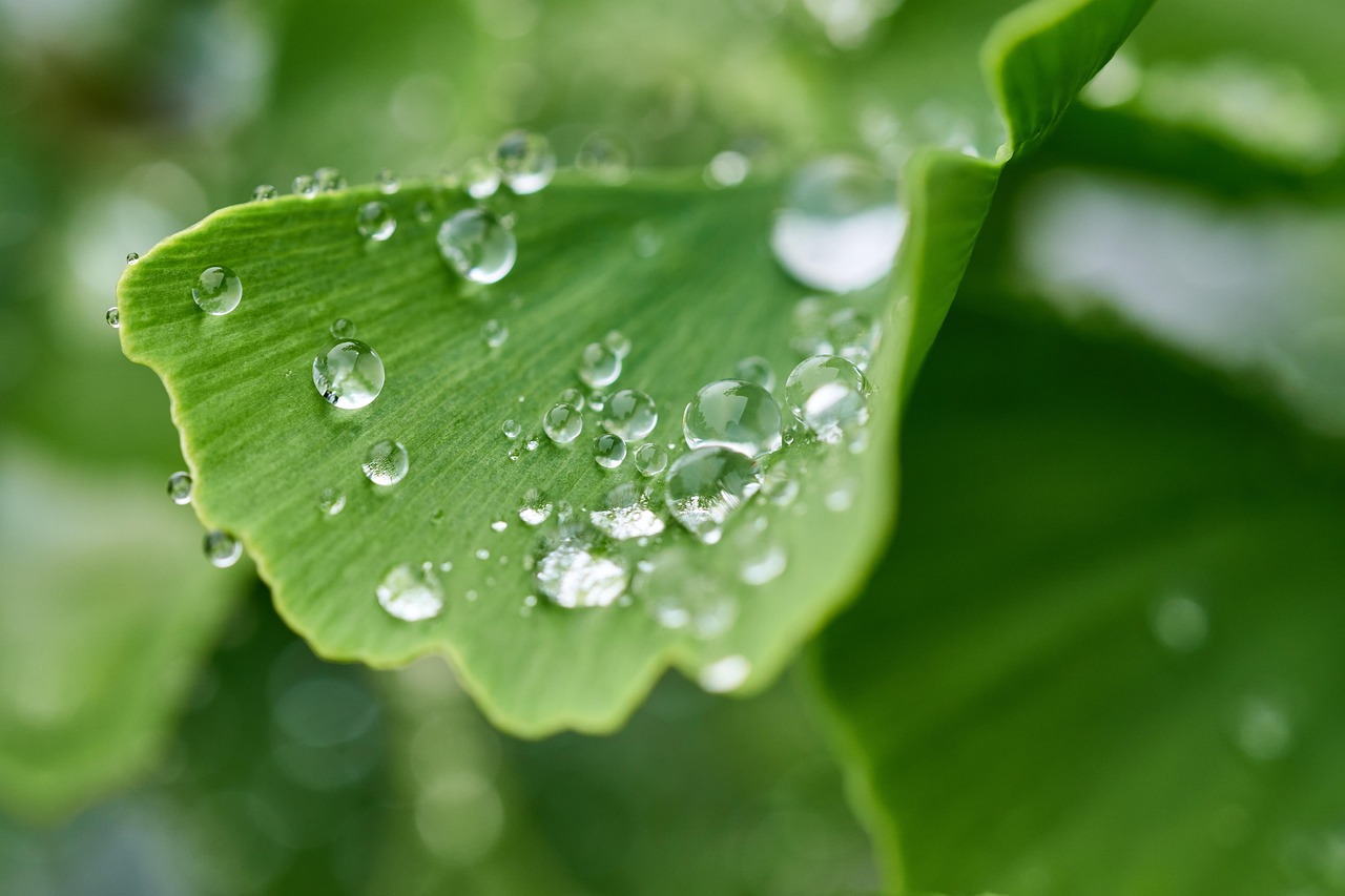entdecken sie die bedeutung von hydration für ihre gesundheit und wie ausreichendes trinken ihr wohlbefinden und ihre leistungsfähigkeit verbessert.