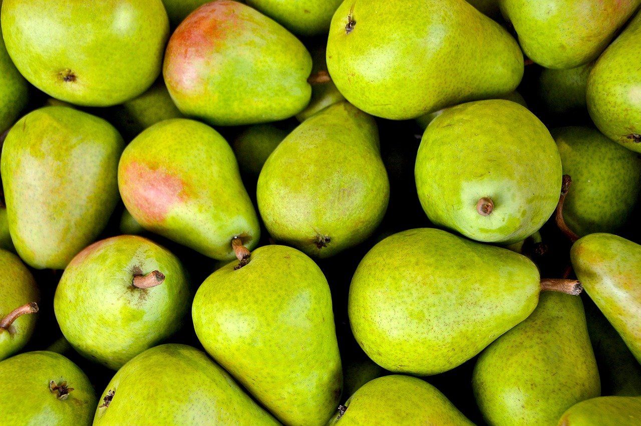 entdecken sie die bedeutung einer ausgewogenen ernährung für ihre gesundheit und ihr wohlbefinden. erfahren sie, wie sie mit den richtigen nährstoffen ihr leben verbessern können.