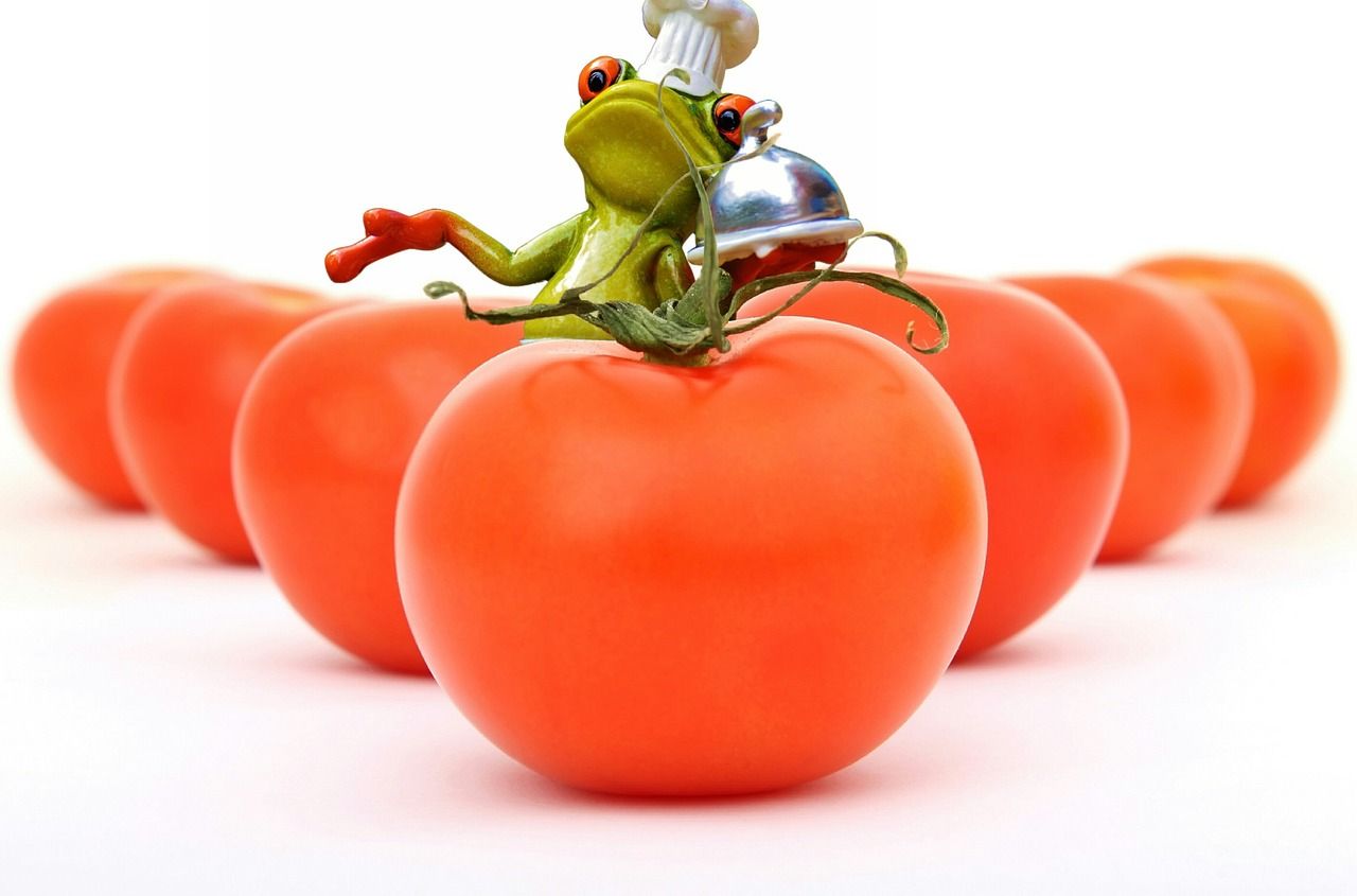 entdecken sie frisches und gesundes gemüse, perfekt für eine ausgewogene ernährung und leckere gerichte.