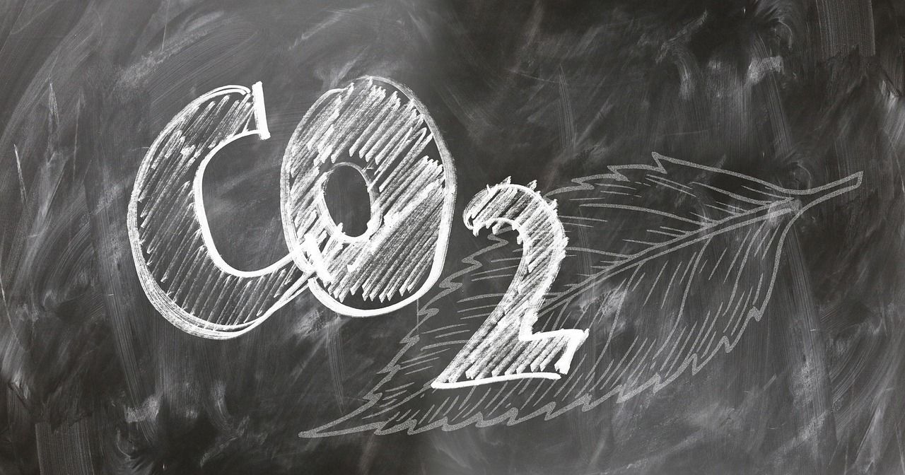kohlenstoffkompensation: maßnahmen zur reduzierung und ausgleich von co2-emissionen für mehr umweltschutz und nachhaltige zukunft.