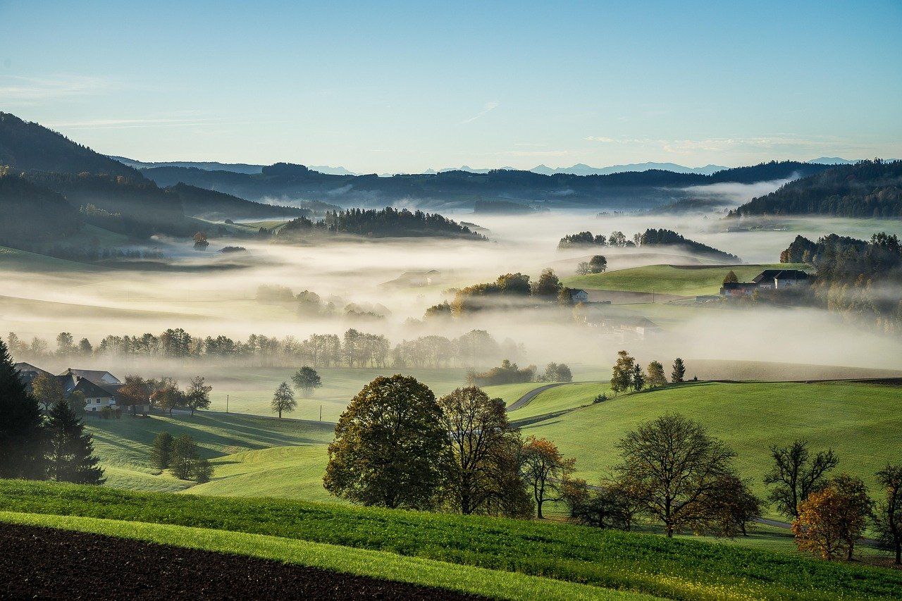 erleben sie einen unvergesslichen kulturellen sommer voller spannender veranstaltungen, inspirierender kunst und unvergesslicher erlebnisse. tauchen sie ein in die vielfalt der kultur und genießen sie unzählige festivals, konzerte und ausstellungen in dieser lebendigen jahreszeit.