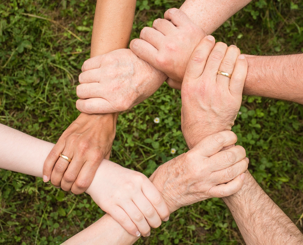 entdecken sie unsere engagierte community, in der austausch, unterstützung und gemeinsame erlebnisse im mittelpunkt stehen.