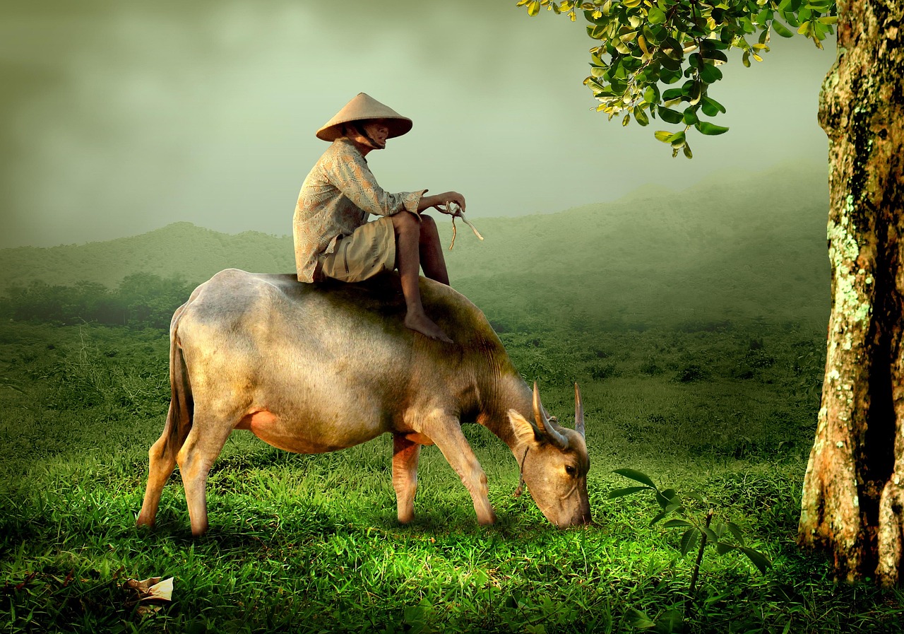 entdecken sie die faszinierende vietnamesische kultur: traditionen, geschichte, feste, küche und lebensweise, die vietnam einzigartig machen. perfekt für alle, die mehr über vietnam erfahren möchten.