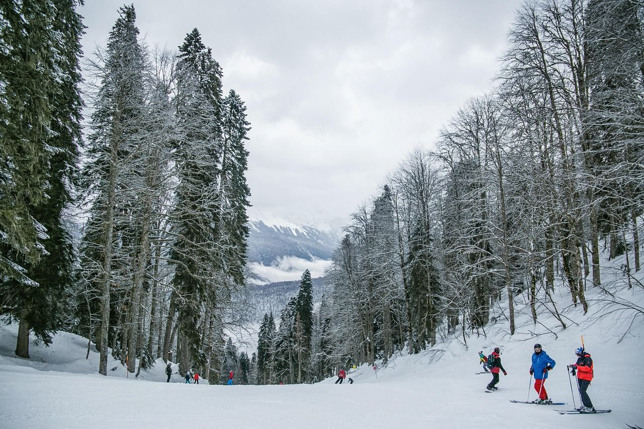 entdecken sie die faszination des skifahrens: tipps zu ausrüstung, technik und den besten skigebieten für unvergessliche winterabenteuer.