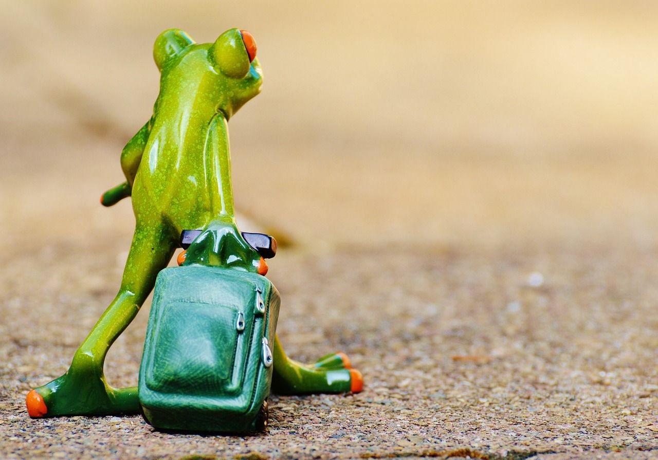 entdecken sie inspirierende reiseziele, hilfreiche tipps und unvergessliche erlebnisse für ihre nächste abenteuerreise.