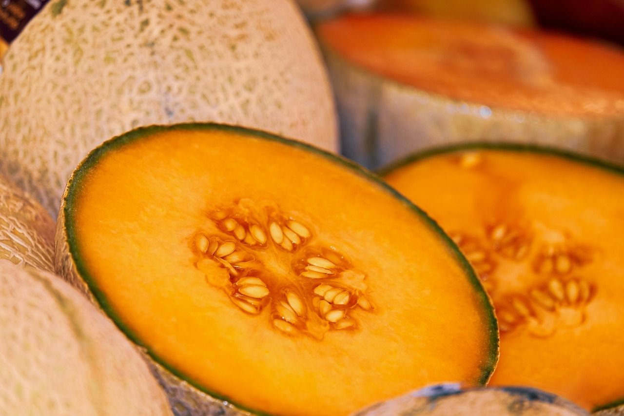 erfrischende ernährungstipps für ein gesundes und energiegeladenes leben – entdecken sie einfache und wirkungsvolle ratschläge für ihre tägliche ernährung.