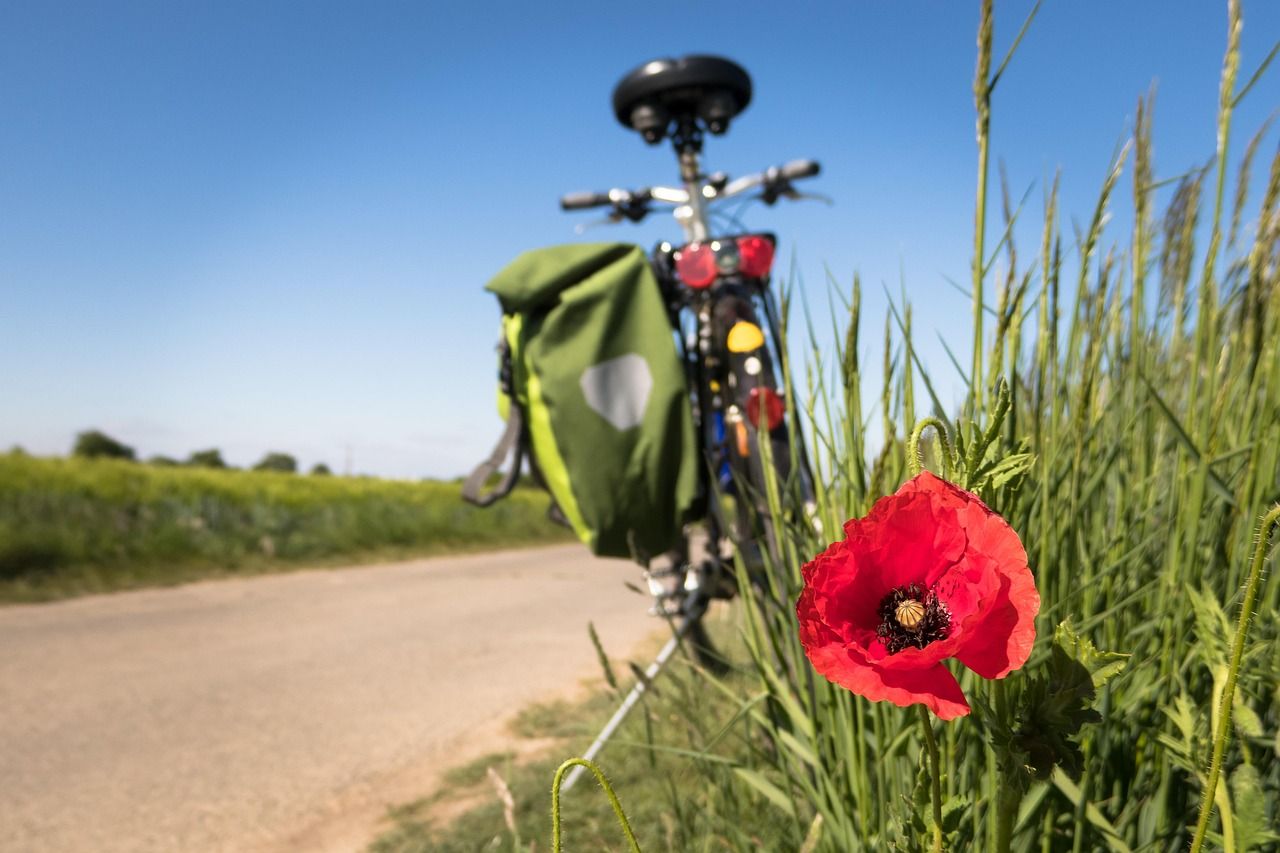 entdecken sie die welt der freizeit­spiele! erfahren sie hier alles über verschiedene freizeit­sportarten, ihre vorteile für gesundheit und wohlbefinden sowie tipps für den einstieg – für mehr spaß und bewegung im alltag.
