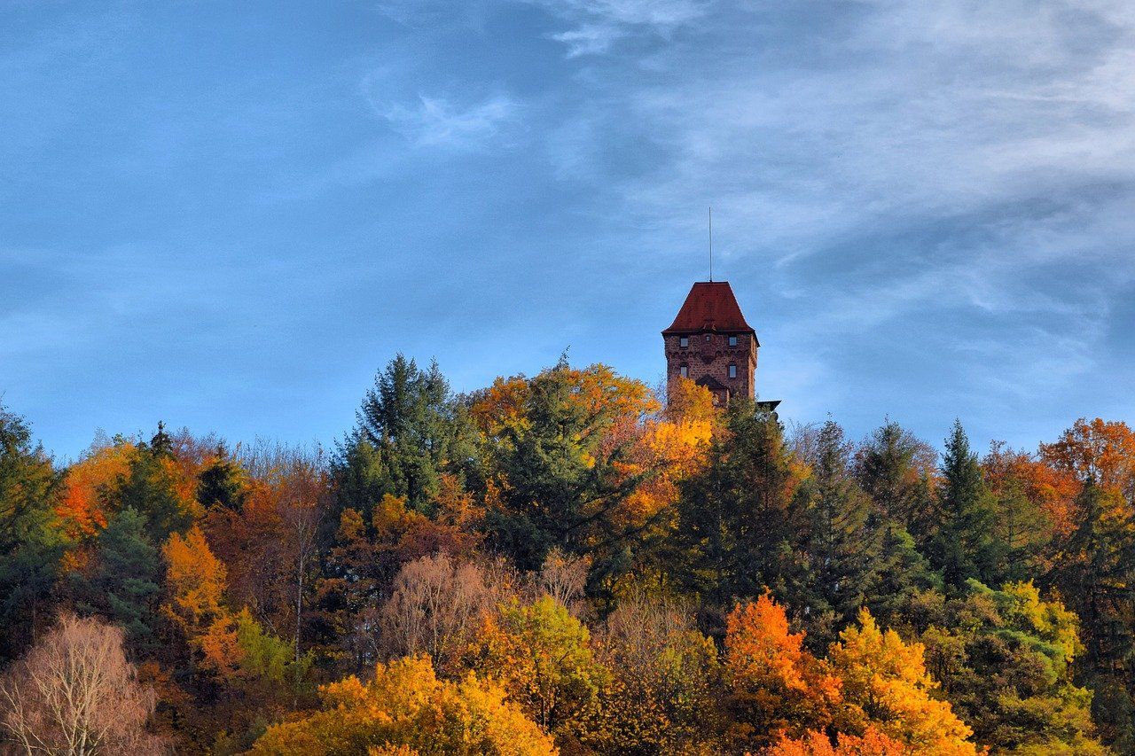 entdecken sie erlenbach, ein charmantes dorf in deutschland, bekannt für seine malerische landschaft, historischen sehenswürdigkeiten und vielfältigen freizeitmöglichkeiten. genießen sie die ruhe der natur und die gastfreundschaft der einheimischen in dieser idyllischen umgebung.