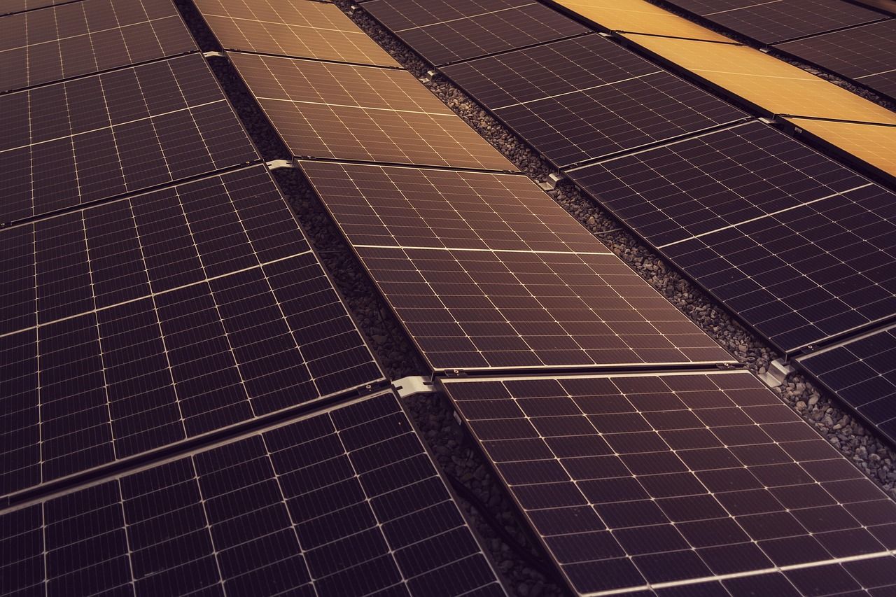entdecken sie nachhaltige lösungen und innovationen für eine umweltfreundliche zukunft. erfahren sie mehr über nachhaltige praktiken, die unseren planeten schützen.