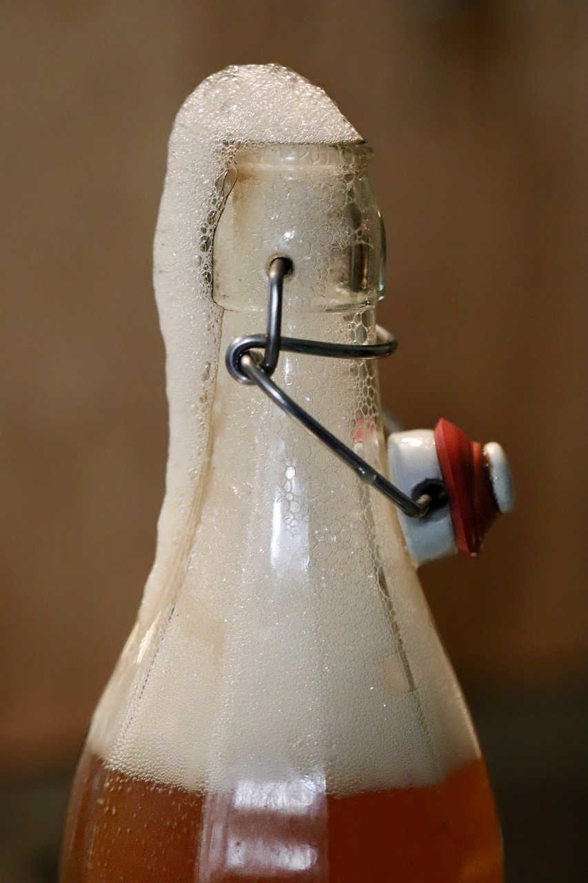 entdecken sie die welt der fermentierten lebensmittel! von kimchi bis sauerkraut - erfahren sie, wie diese nahrhaften und probiotischen lebensmittel ihre gesundheit fördern können. erleben sie die vorteile der fermentation für ihre ernährung.