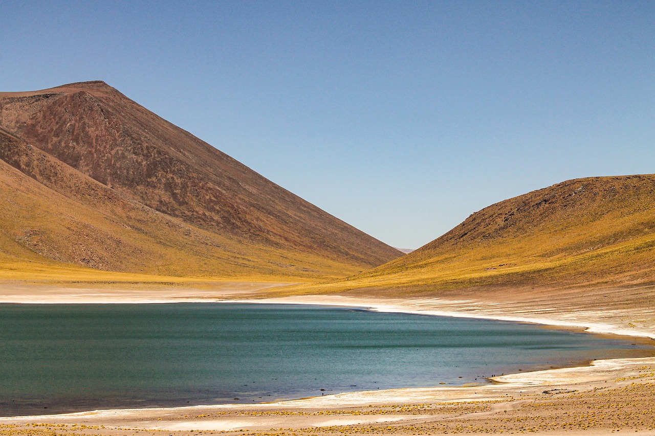 entdecken sie die faszinierende atacama-wüste, die trockenste wüste der welt, mit atemberaubenden landschaften, einzigartiger flora und fauna sowie klaren sternenhimmeln.