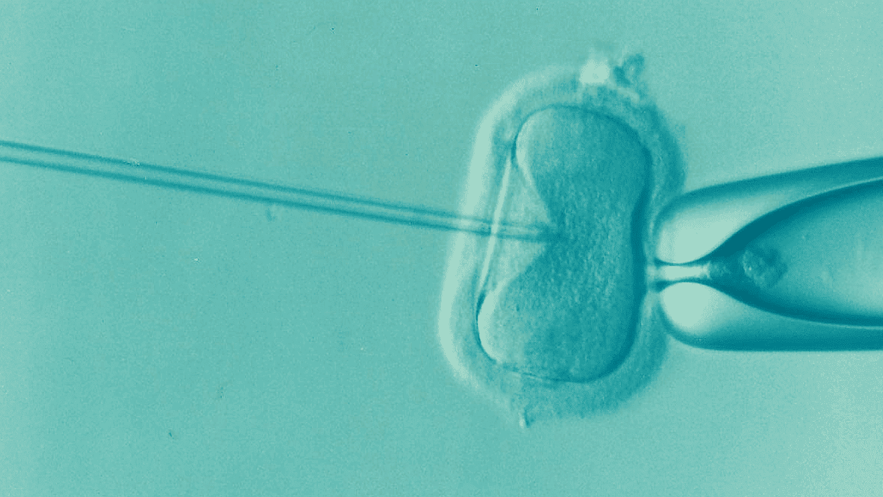 erfahren sie mehr über unfruchtbarkeit, ihre ursachen, symptome und mögliche behandlungsmöglichkeiten. informieren sie sich über die neuesten fortschritte in der fertilitätstherapie und erhalten sie wertvolle tipps für paare, die sich ein kind wünschen.