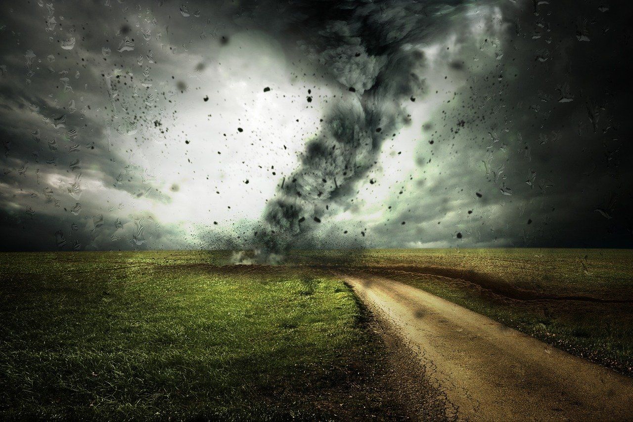 entdecken sie effektive strategien und maßnahmen zum schutz der umwelt. erfahren sie, wie nachhaltige praktiken zur erhaltung unseres planeten beitragen und wie jeder einzelne einen unterschied machen kann.