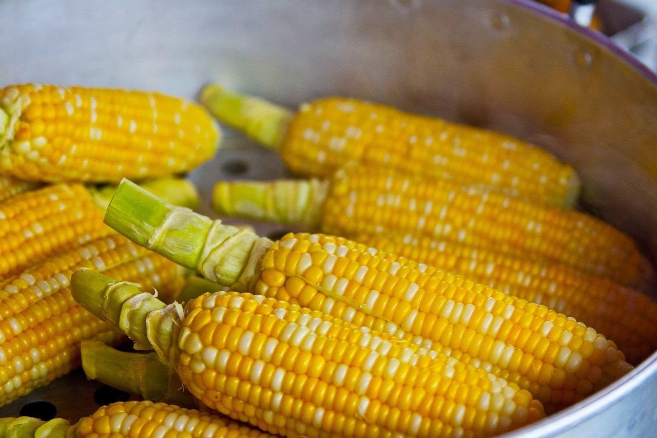 entdecken sie die welt der ernährung mit wertvollen tipps und informationen über gesunde ernährung, ausgewogene diäten und die wichtigkeit einer richtigen nahrungsaufnahme für ihr wohlbefinden.