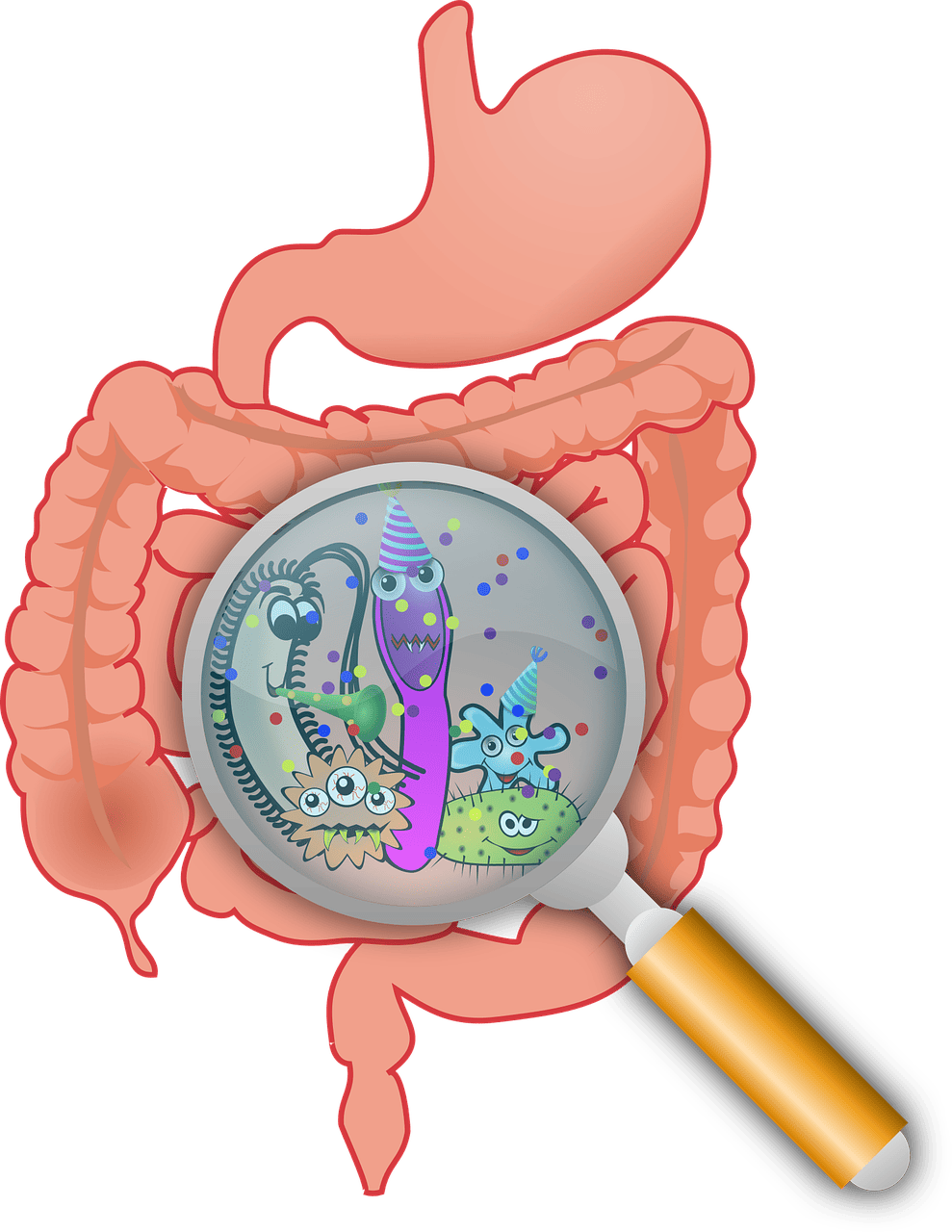 erfahren sie alles über darmgesundheit: tipps, ernährung und lebensstil für ein gesundes verdauungssystem.