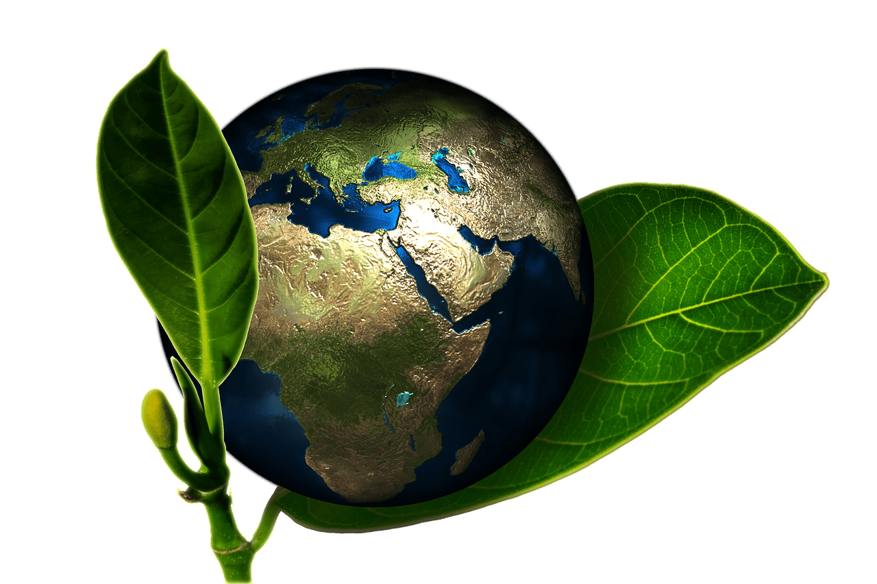 erfahren sie, wie umweltschutzpraktiken zur erhaltung unserer planetarischen ressourcen beitragen und wie sie aktiv einen positiven einfluss auf die umwelt ausüben können. schützen sie die natur für zukünftige generationen!