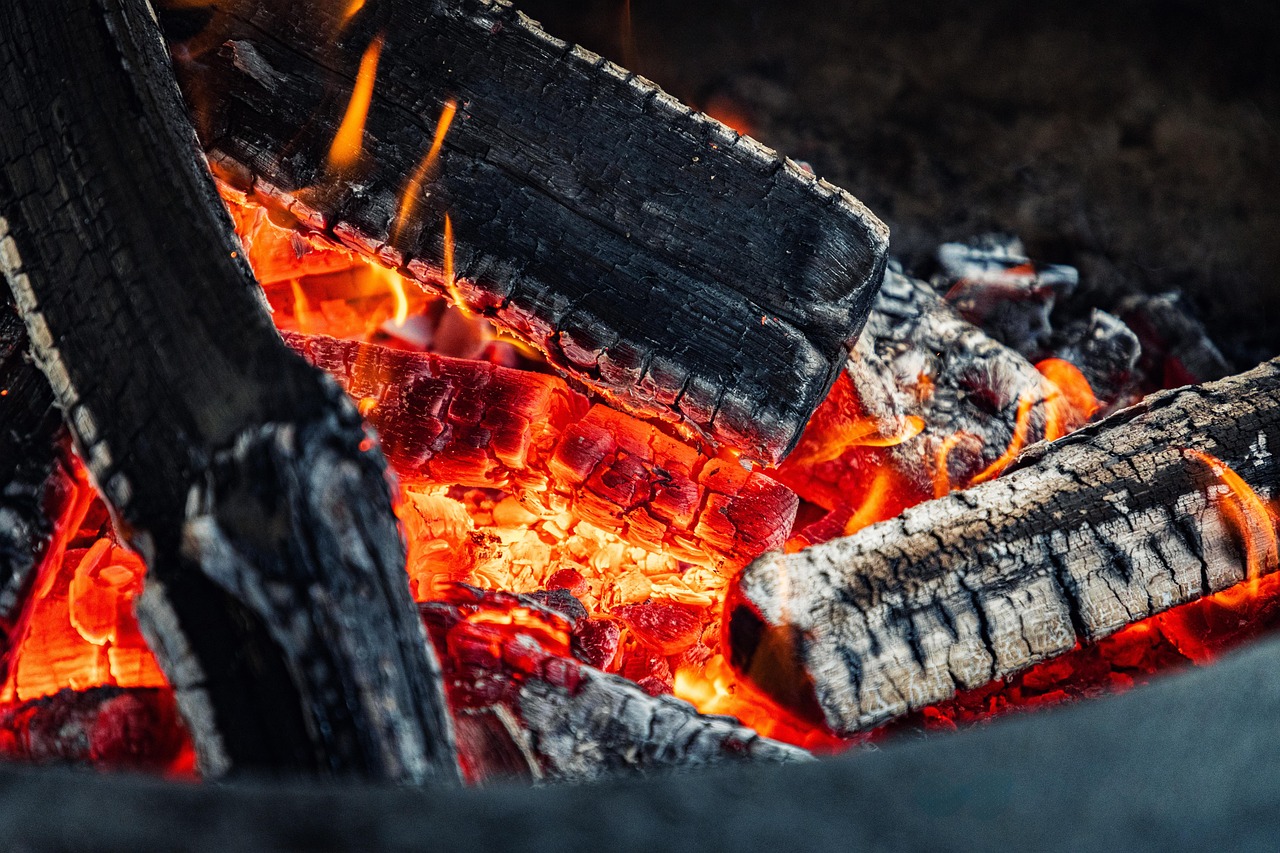 entdecken sie die besten tipps und rezepte für unvergessliche barbecue-erlebnisse – von saftigen grillgerichten bis zu einzigartigen marinaden.