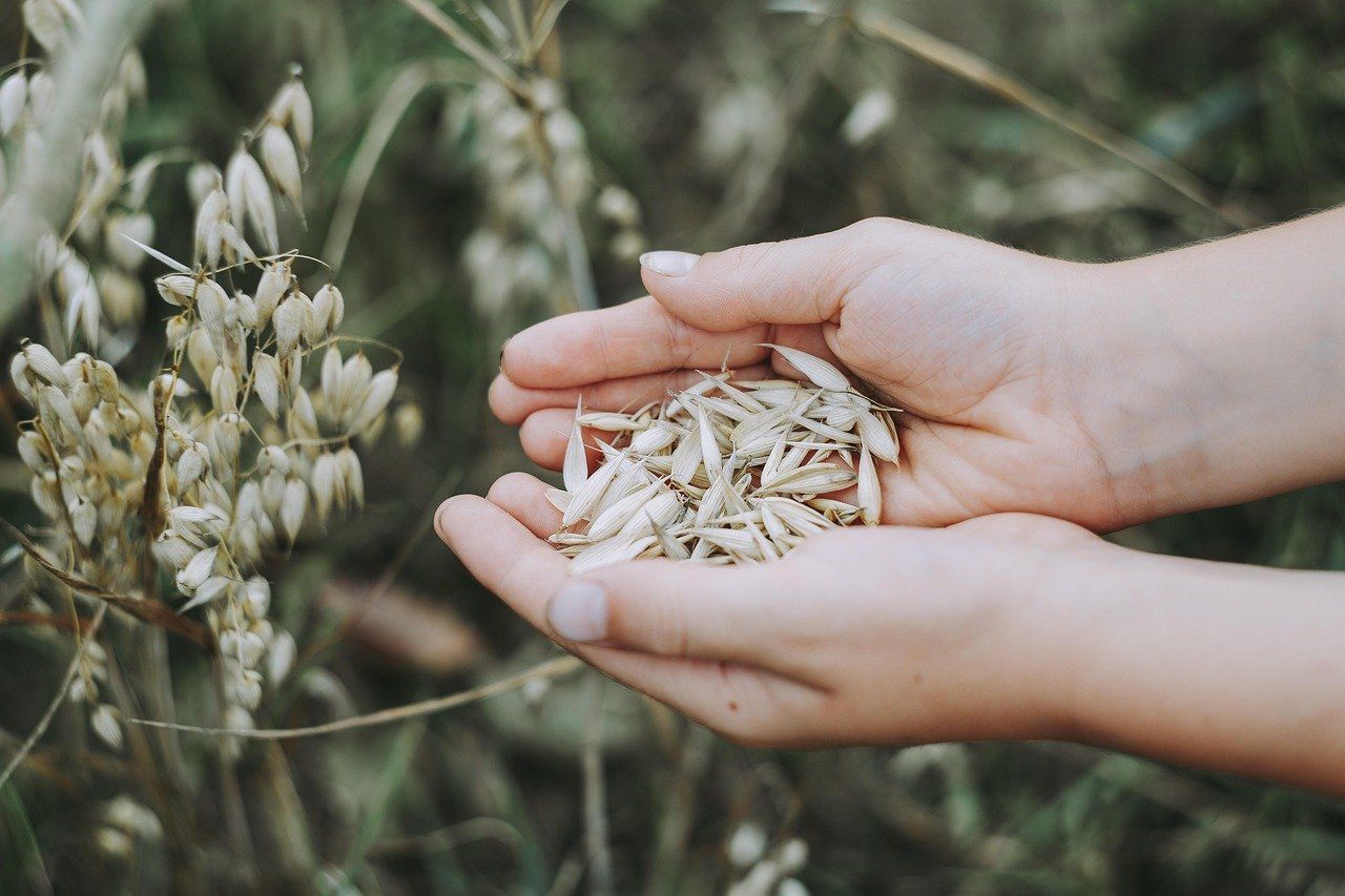 entdecken sie gesunde ernährungstipps und -rezepte für ein besseres wohlbefinden. lernen sie, wie sie sich ausgewogen und abwechslungsreich ernähren können, um ihre gesundheit zu fördern.