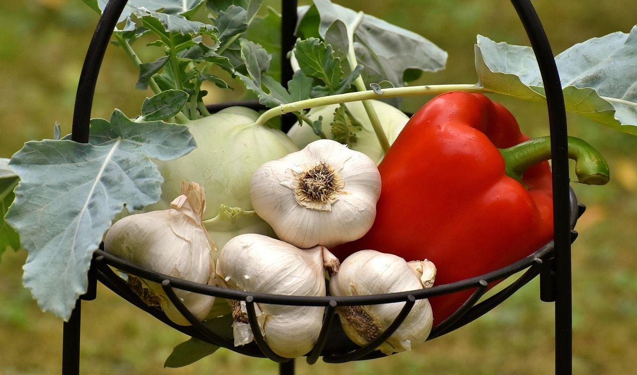 entdecken sie frisches gemüse voller vitamine und geschmack – perfekt für gesunde mahlzeiten und eine ausgewogene ernährung.