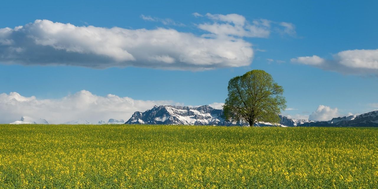 entdecken sie die vorteile von pilates für körper und geist: stärkung der muskulatur, verbesserung der flexibilität und förderung des wohlbefindens.
