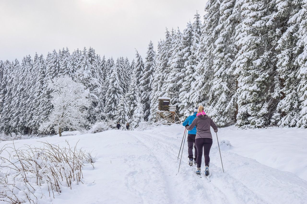 entdecken sie die faszination des skifahrens: tipps, ausrüstung und die besten skigebiete für anfänger und profis.