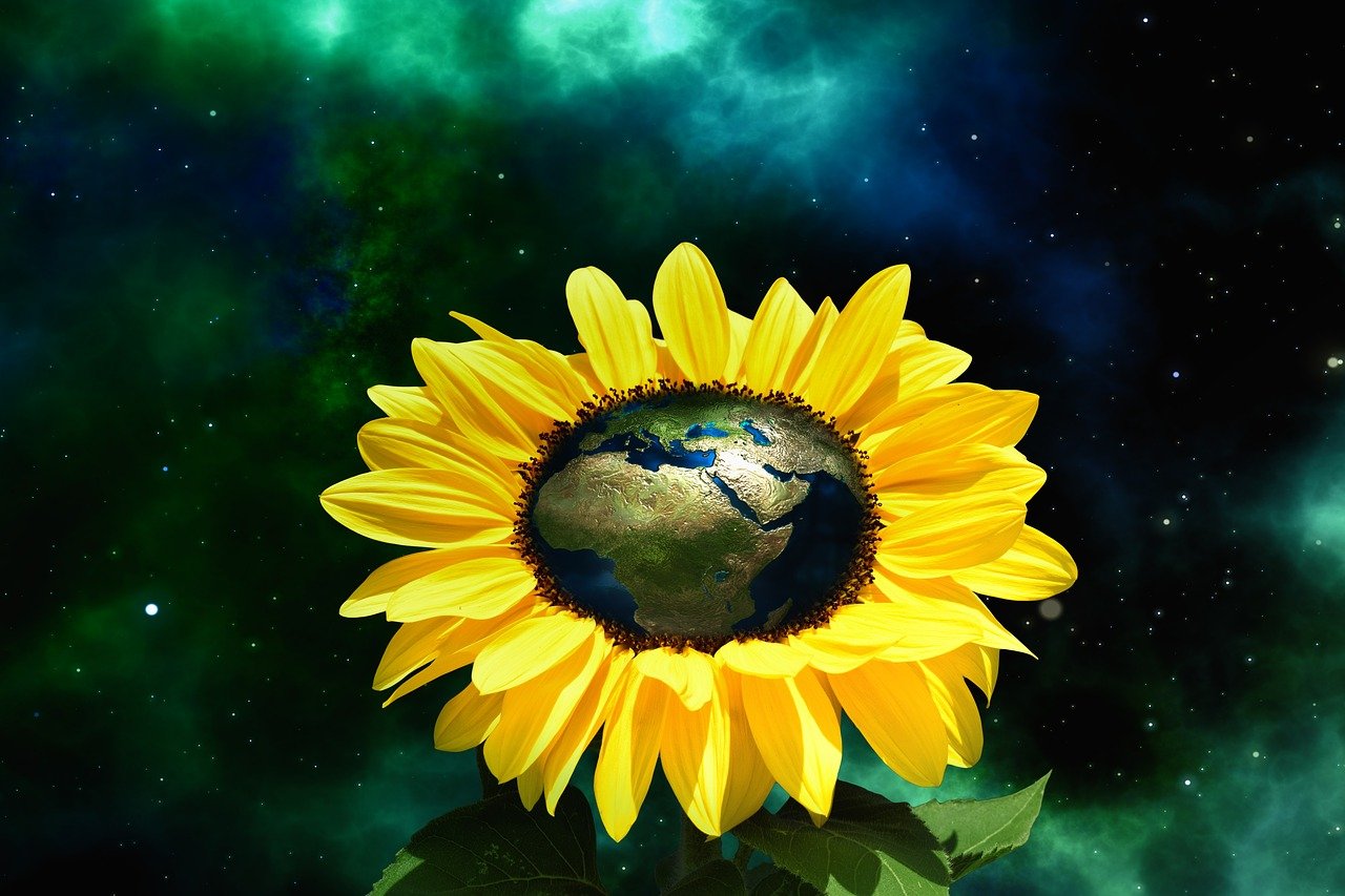 das sonnenblumensymbol steht für freude, wärme und positive energie. entdecken sie die bedeutung und den kulturellen hintergrund dieser strahlenden blume.