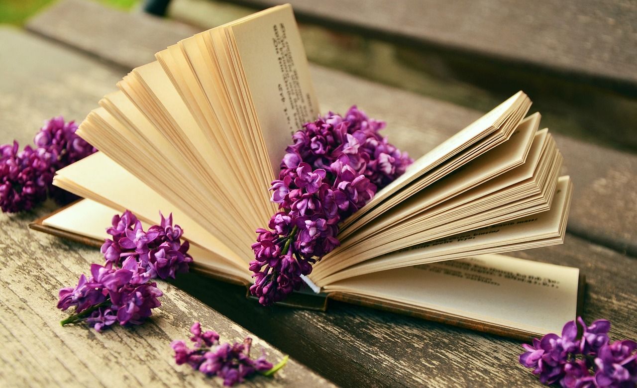 entdecken sie faszinierende werke der literatur, spannende klassiker und neue buchveröffentlichungen. tauchen sie ein in die welt der romane, poesie und erzählungen – inspiration und lesetipps für alle bücherliebhaber.