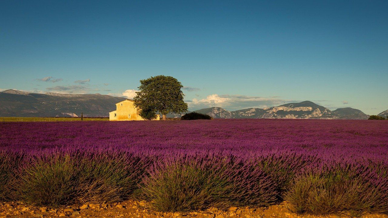 entdecken sie die schönheit der provence: malerische landschaften, charmante dörfer und köstliche gastronomie. lassen sie sich von der einzigartigen kultur und dem mediterranen flair verzaubern.