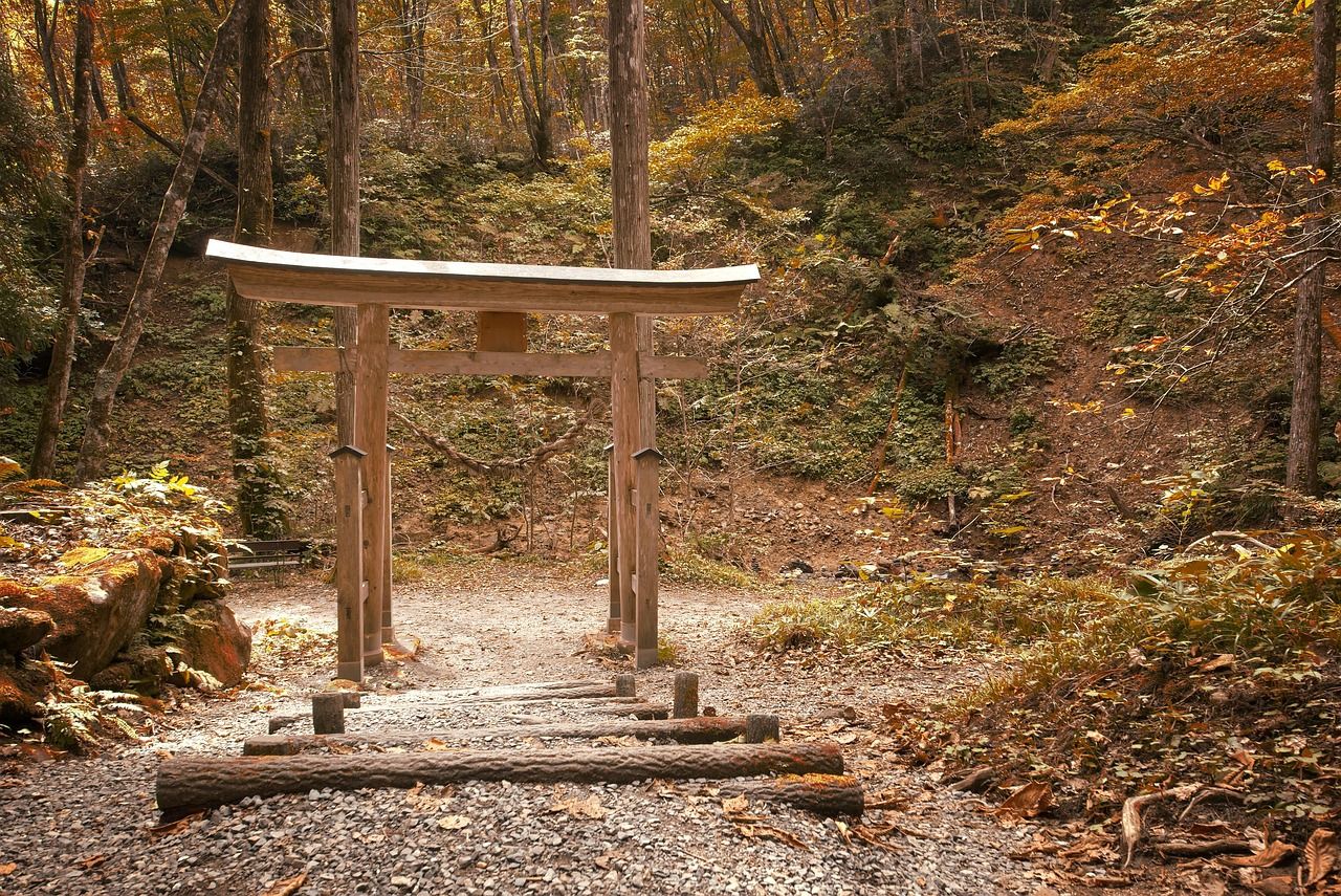 entdecken sie die faszinierende welt der kultur: traditionen, kunst, geschichte und gesellschaftliche werte, die das leben bereichern und verbinden.