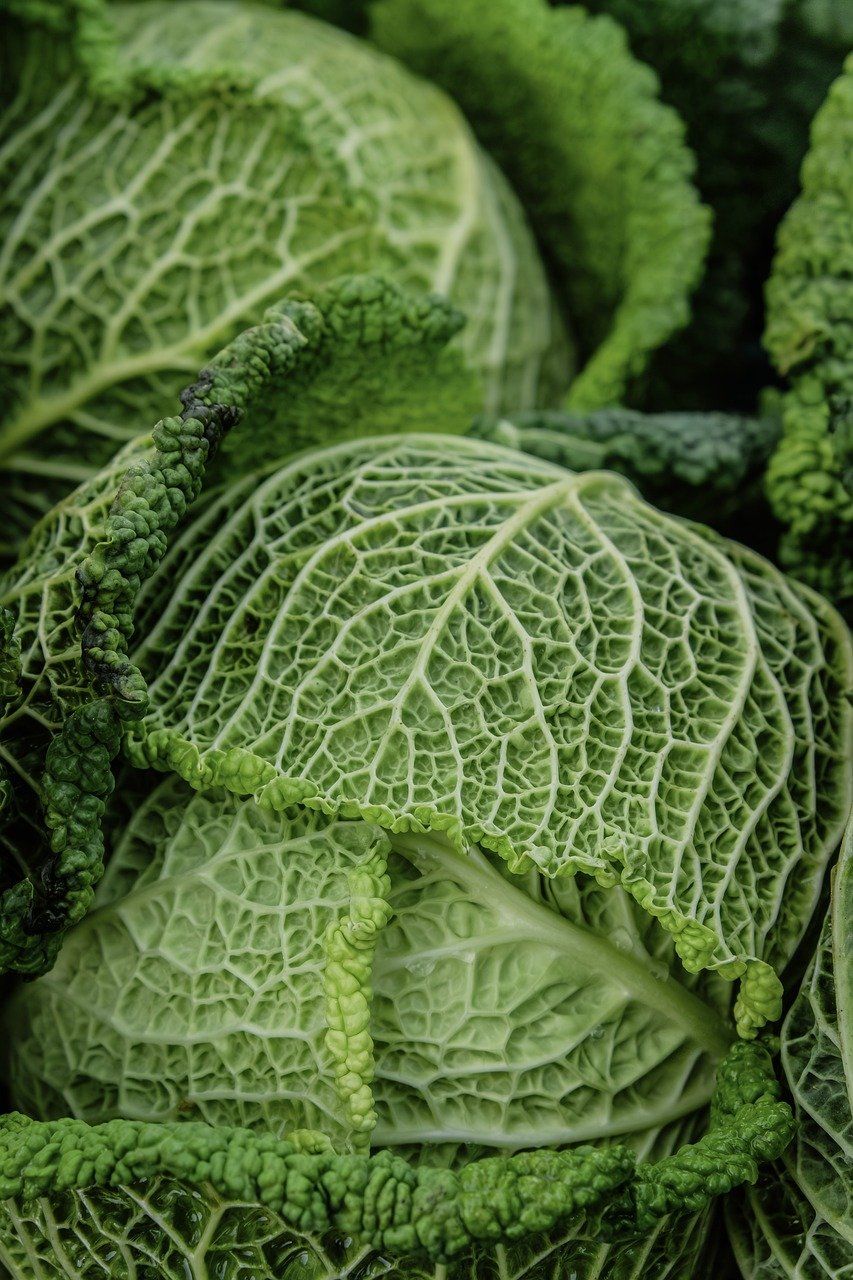 entdecken sie umfassende informationen und tipps zur optimalen ernährung für ein gesundes und ausgewogenes leben.