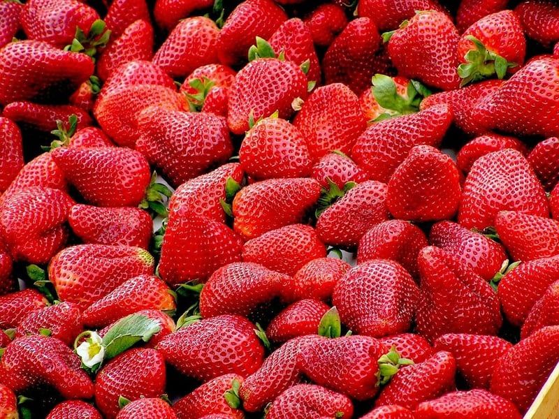 Gesunde Ernährung und Getränke: Tipps einer Ernährungsberaterin zur Bekämpfung von Gewichtsproblemen und Krankheiten