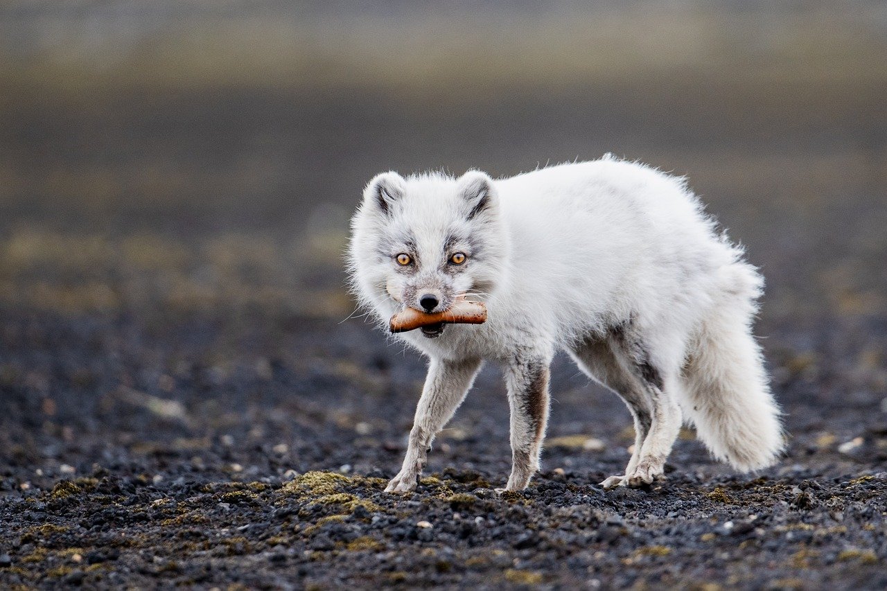 Wenn das eigene Überleben vom Inhalt des Rucksacks bestimmt wird