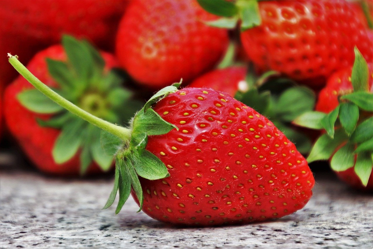 Gesunde Ernährung neu denken – Aktuelle Empfehlungen zu Lebensmitteln und Genuss