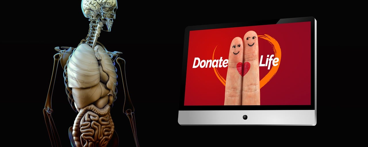 Organspende im Fokus: Aufklärung über verbreitete Mythen und die dahinterstehenden Ängste