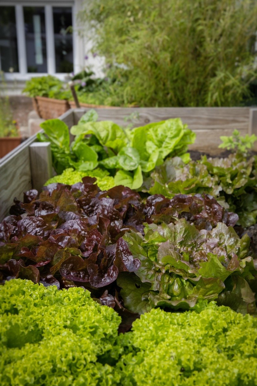 Selbstversorgung durch gartenarbeit als hobby