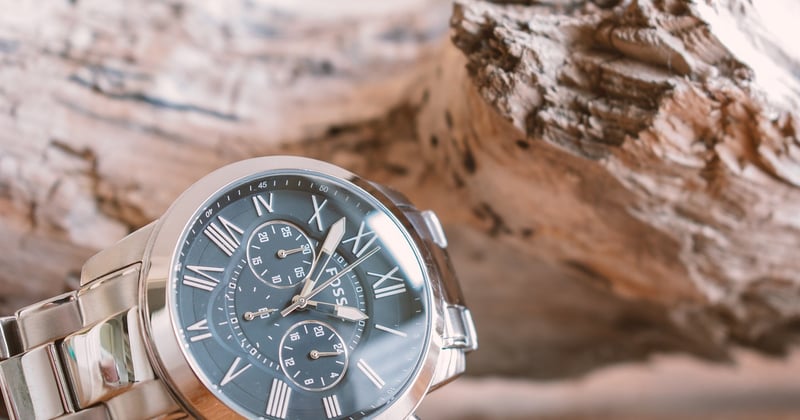Quastenflosser: Das lebende Fossil, das die Evolution neu schreibt