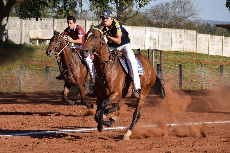 SV Ribbesbüttel: Marion Gohde begeistert mit ihrer Leidenschaft fürs Reiten