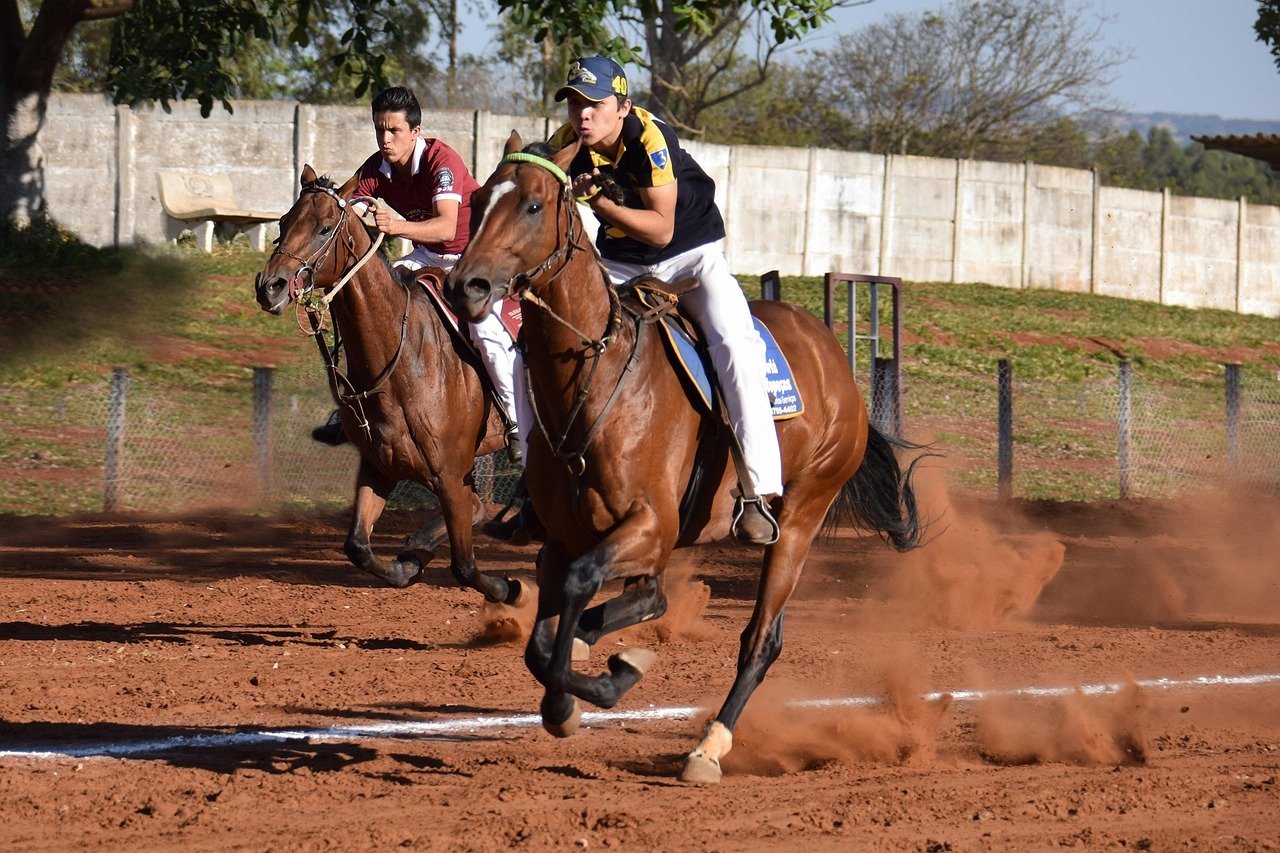 SV Ribbesbüttel: Marion Gohde begeistert mit ihrer Leidenschaft fürs Reiten