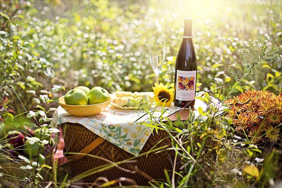Essen und Trinken in der Natur: Picknick-Kultur